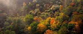 Herbstlicher Harz