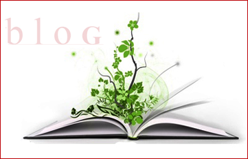 Blog