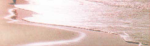 irene wahle - biografin